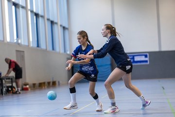 Bild 234 - wBJ HTS/BW96 Handball - Niendorfer TSV : Ergebnis: 27:27